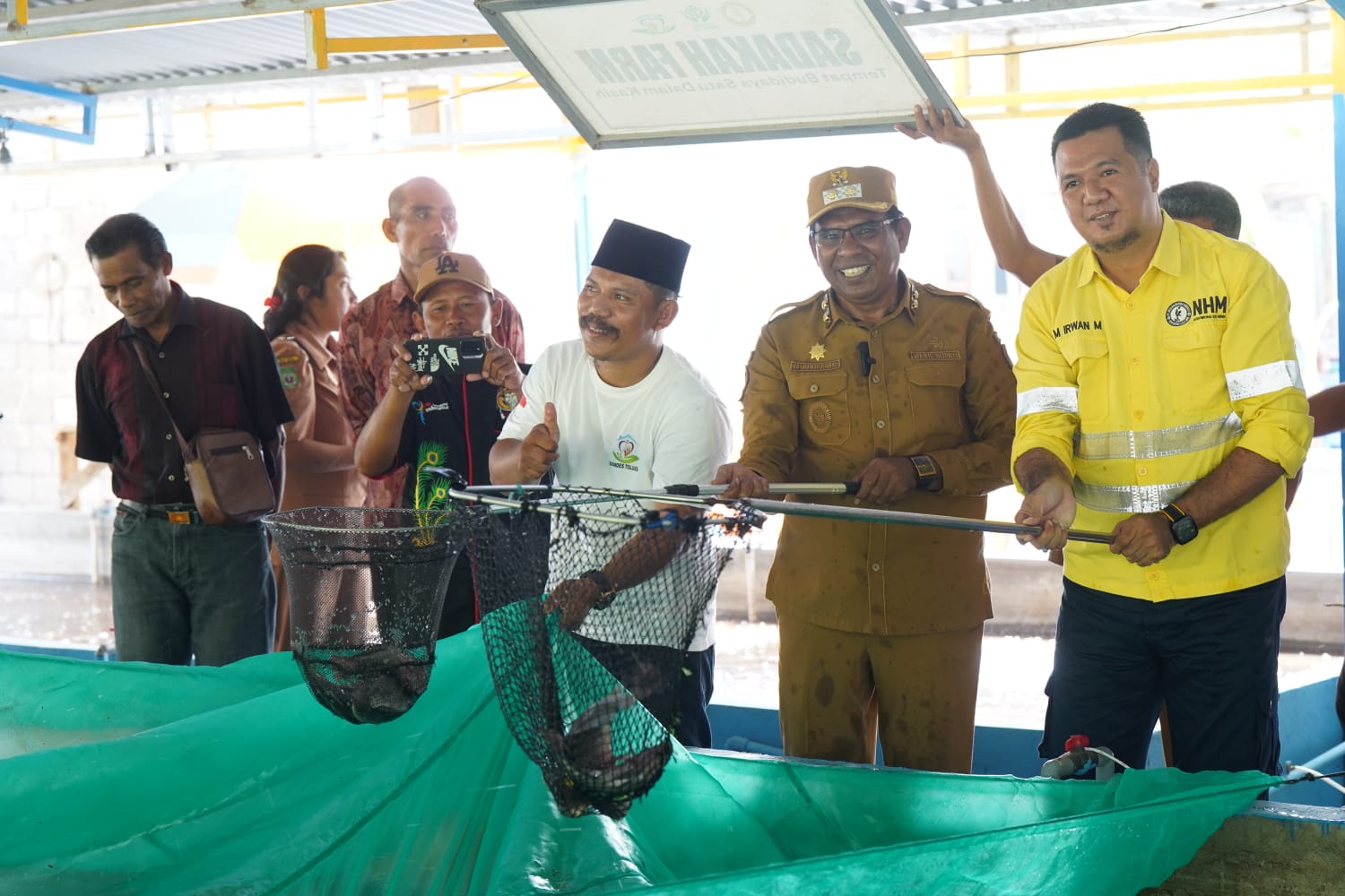 Panen raya budidaya ikan nila di BUMDesa Toluaes, Desa Soahukum, Kecamatan Kao Barat, Kabupaten Halmahera Utara (Halut), Maluku Utara. Foto/istimewa 